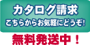 �ʳ������Ʋ���󥿡��ʥ���ʥ륫����������