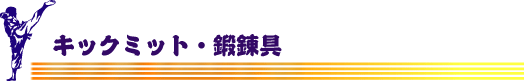�ʳ������Ʋ���󥿡��ʥ���ʥ롡���å��ߥå� YM-1