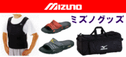 �ʳ������Ʋ���󥿡��ʥ���ʥ�(��ʳ����������ƲIN )MIZUNO���å�